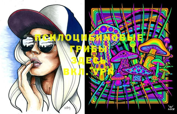 СК Алексеевка