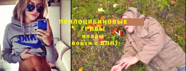 СК Алексеевка