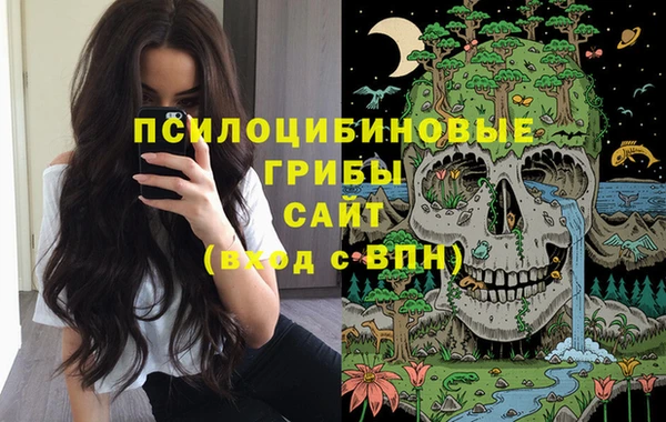 стафф Алексин